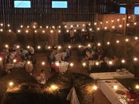 Jazz and Farm to Table Dinner