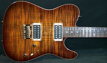 MY 2009 TOM ANDERSON Guitarworks, Hollow cobra
