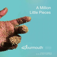 A Million Little pieces  by Sourmouth