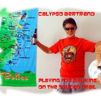 Playing For Belikins On The Toucan Trail by Calypso Bertrand