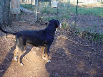 Suddanly Erie ROM (Ebony) Thanks to Tyrone Fisher, Dan Campeau
