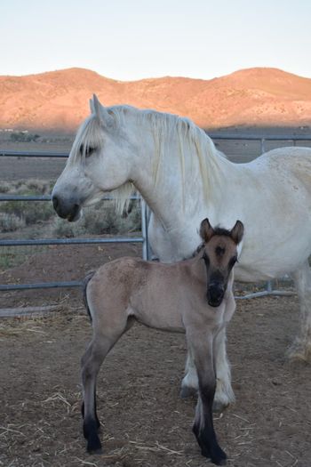 Annie (mom) and Caoilainn
