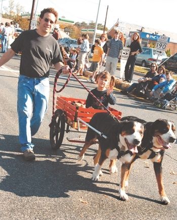 Blasse and Eiger doing their Favorite thing.. Pulling a wagon with their kid, Merrill, on it. Shown with Stephen Hewitt.
