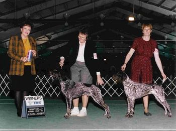 (l) Ch. Olde Ridge Stuck On You owned by Bonita Kipp (r) Ch. Olde Ridge Pheasants Forever, SH owned by Judy Ziegler
