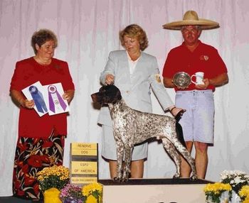 Ch. Olde Ridge Pride 'N Joy, JH (Ch. TRF Kingswood's Past Returns x Ch. Olde Ridge Silhouette) 1988 National Spoecialty Show Reserve Winners Dog owned by Noel Nocks and Jim Burns
