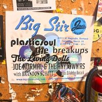 2:30pm - Big Stir: Power Pop & More - Plasticsoul, The Breakups, The Living Dolls, Joe Normal & the Anytown'rs. Brandon Schott, DJ John Borack