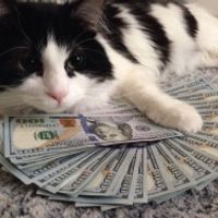$100 Gift Card 
