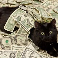 $30 Gift card