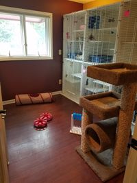 The Cat's Meow Grooming & Boarding - Boarding