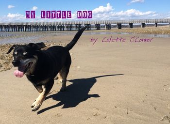 My Little Dog, single release artwork
