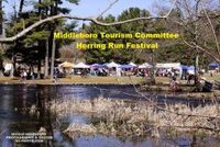 6th Annual Herring Run Festival