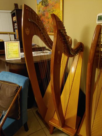 Harps available for rent to students.
