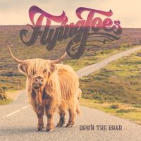 DOWN THE ROAD (CD) de Flying Joes