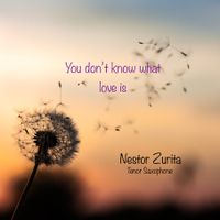  You don’t know what love is  by Nestor Zurita on Tenor Saxophone 