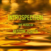 INTROSPECTION by Nestor Zurita