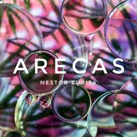 Arecas  by Nestor Zurita