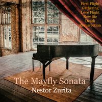 The Mayfly Sonata by Nestor Zurita