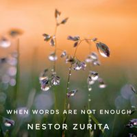 When words are not enough by Nestor Zurita H.