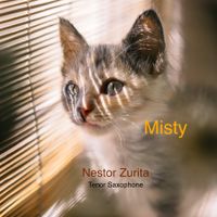 Misty by Nestor Zurita Tenor Saxophone 