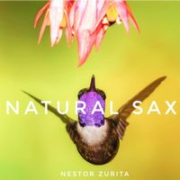 Natural Sax by Nestor Zurita