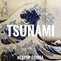 Tsunami  by Nestor Zurita