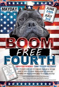 Boom Free Fourth - Fireworks Turn-In Campaign