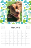 2018 Mayday Pit Bull Rescue Calendar