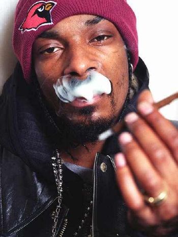 Snoop
