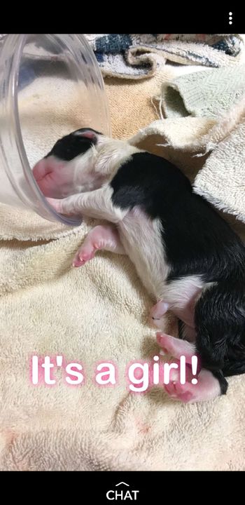 First born!
