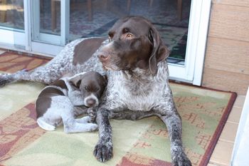 She still loves her mom even though she never got the chewie.
