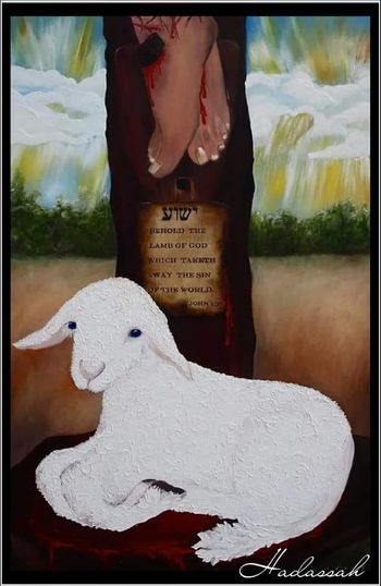 Passover Lamb
