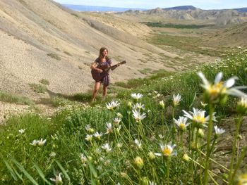 Among the wildflowers in Montrose, CO
