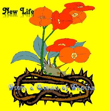 New life from a crown of thorns
