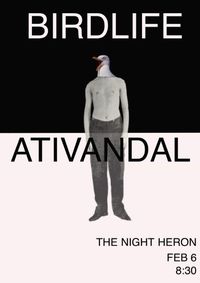 Birdlife/Ativandal 
