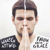 FALLEN FROM GRACE: CD Album