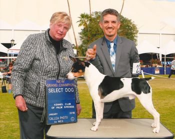 AKC Grand Champion
