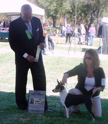 AKC Show Judge Mr. Carl E. Gomes Awards BIMISC 10/27/12 BIMISC 05/11/13 Judge: Mr. Gary L. Andersen and 05/12/13 Judge: Mr. Bill (R.W.) Edwards
