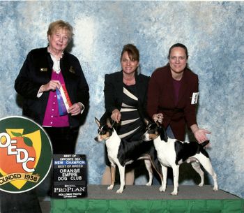 Suzy is now a AKC Champion

