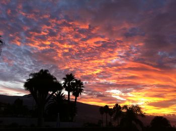 Puerto de la Cruz, Tenerife Sky Sunset
