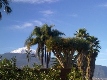 Teide snow mountain, Tenerfie
