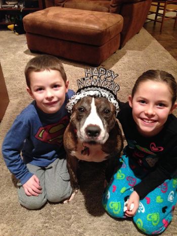 Travis adopted Melissa, Frank, Quincy and Morgan in September 2012. Hard to imagine that Travis was left abandoned in a state park. Here he is ringing in 2014 but wondering how he ended up with the tiara!
