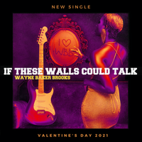 If These Walls Could Talk by Wayne Baker Brooks