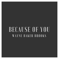 Because of You (Free Single w/ member registration) by Wayne Baker Brooks