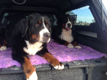Indie and Kyra
