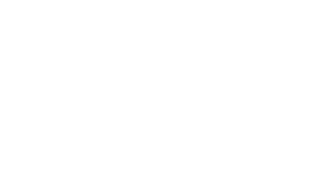 Stonemeadow Consulting