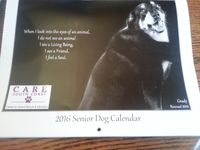 CARE Southcoast Senior Pets Calendar Sale 