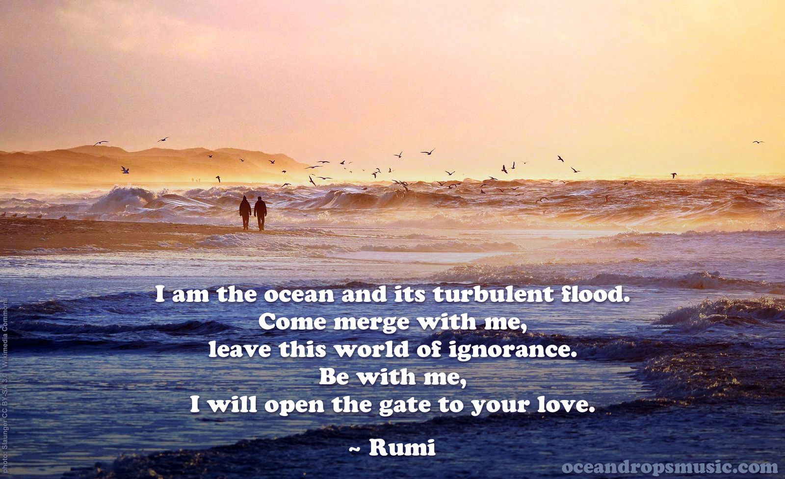 Ocean Drops Music - Rumi Quotes