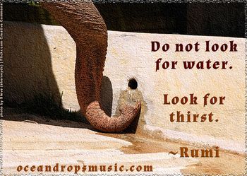 Do not look for water. Look for thirst.  #Rumi
