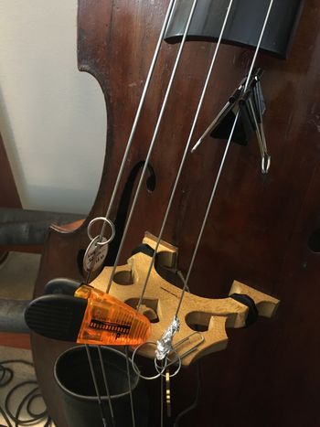 Prepared Bass
