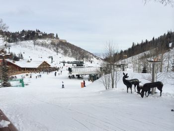 View of Deer Valley, day of our gig, Dec 2014
